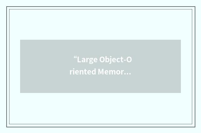“Large Object-Oriented Memory”缩略