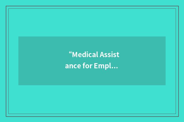 “Medical Assistance for Employed Persons with Disabilities”缩略
