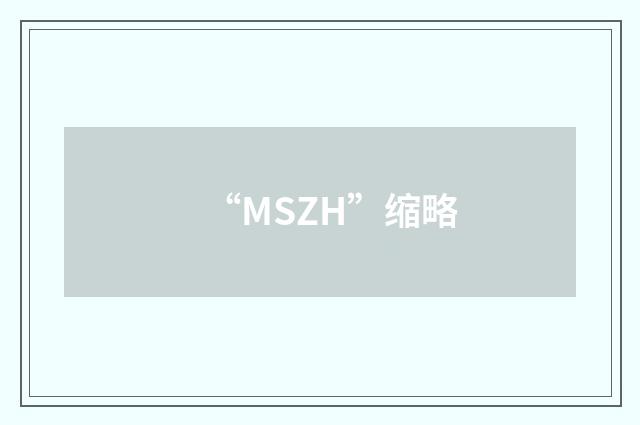 “MSZH”缩略