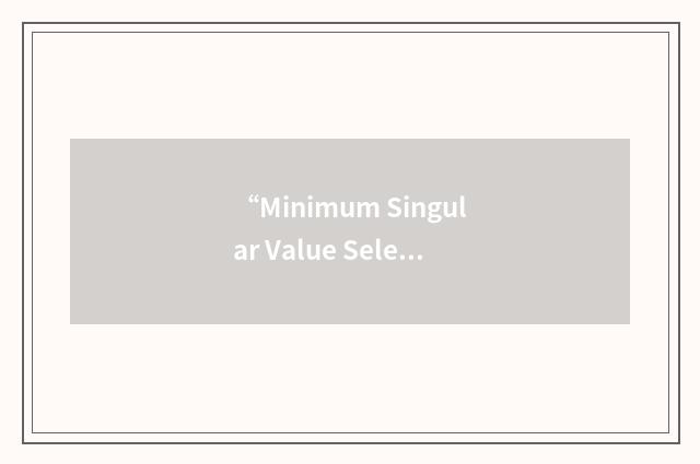 “Minimum Singular Value Selection Criteria”缩略