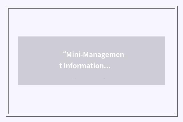 “Mini-Management Information Paper”缩略
