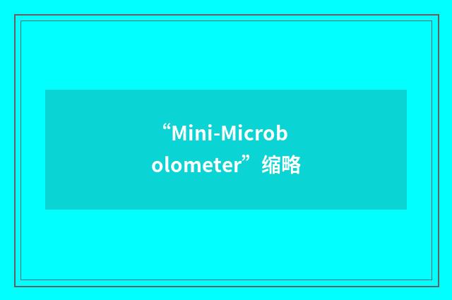“Mini-Microbolometer”缩略
