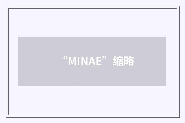 “MINAE”缩略