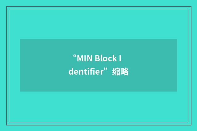 “MIN Block Identifier”缩略