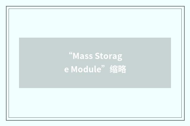“Mass Storage Module”缩略