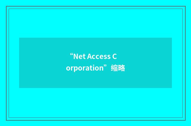 “Net Access Corporation”缩略