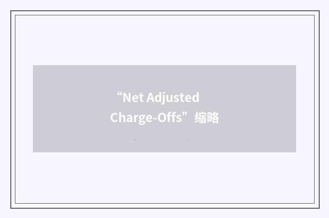 “Net Adjusted Charge-Offs”缩略