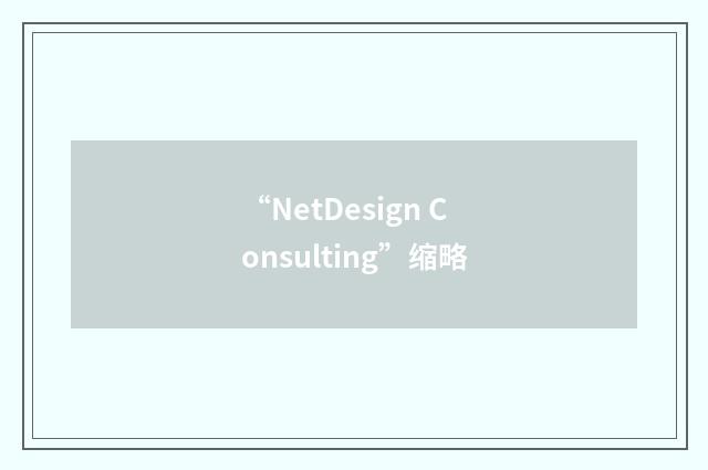 “NetDesign Consulting”缩略