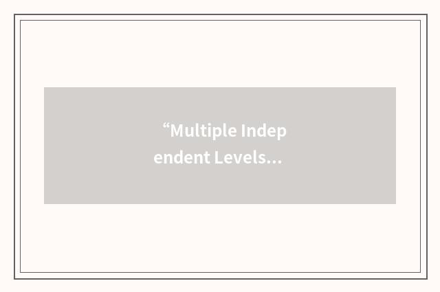 “Multiple Independent Levels of Security”缩略