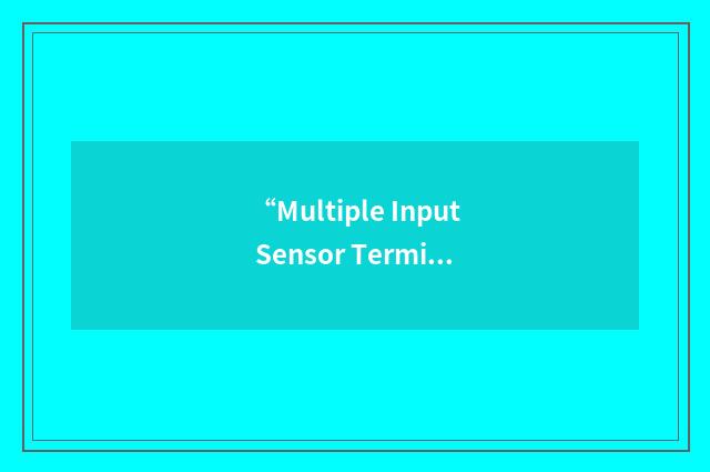 “Multiple Input Sensor Terminal”缩略