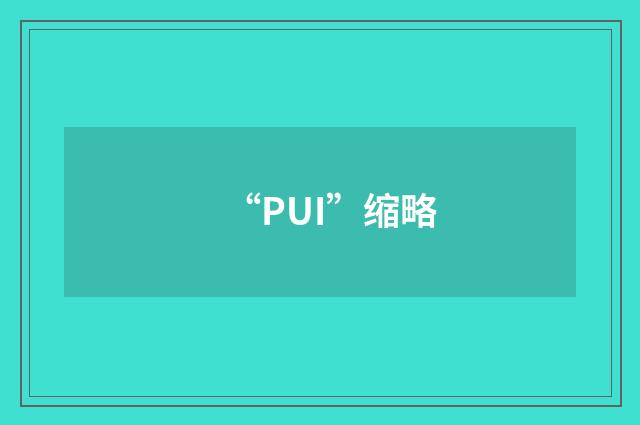 “PUI”缩略