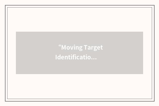 “Moving Target Identification”缩略