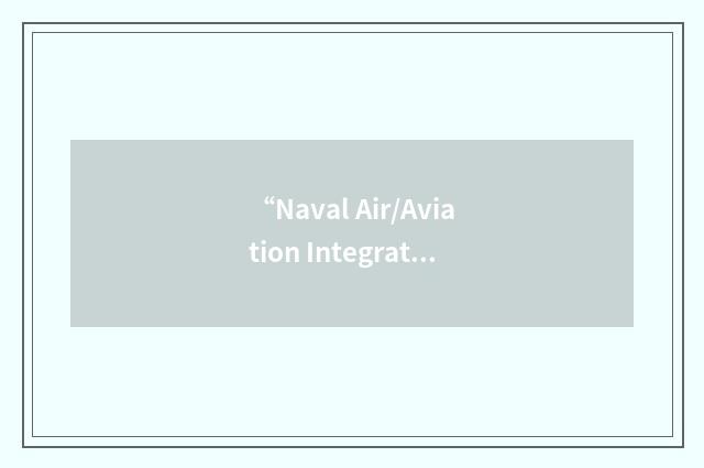 “Naval Air/Aviation Integrated Logistics Support”缩略