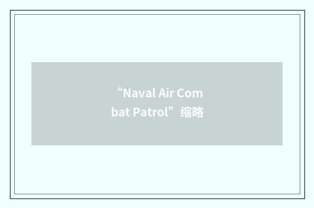 “Naval Air Combat Patrol”缩略