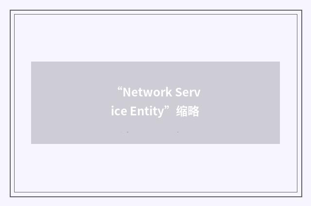 “Network Service Entity”缩略