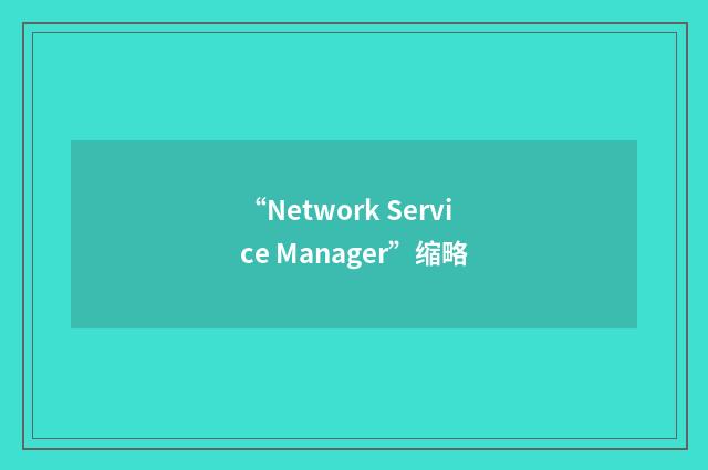 “Network Service Manager”缩略