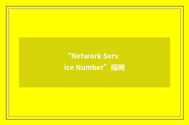 “Network Service Number”缩略