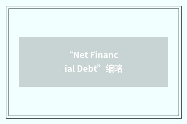 “Net Financial Debt”缩略