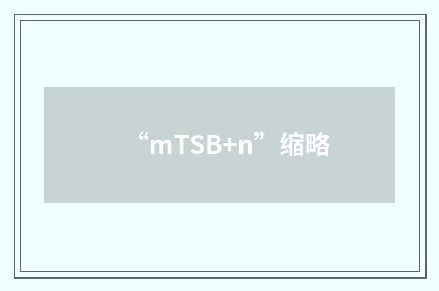 “mTSB+n”缩略