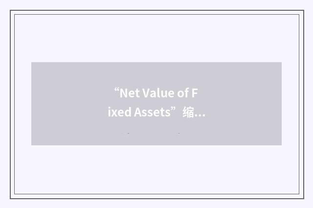 “Net Value of Fixed Assets”缩略