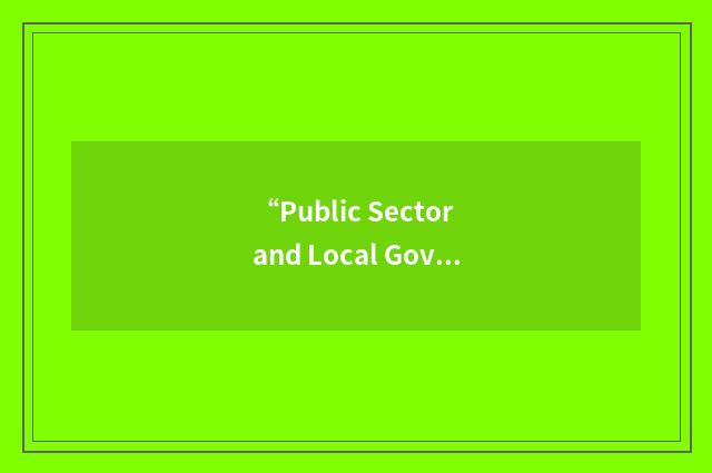 “Public Sector and Local Government”缩略