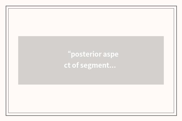 “posterior aspect of segment IV”缩略
