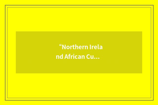 “Northern Ireland African Cultural Centre”缩略