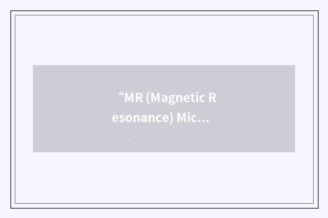 “MR (Magnetic Resonance) Microscope Using an Independent Console System”缩略