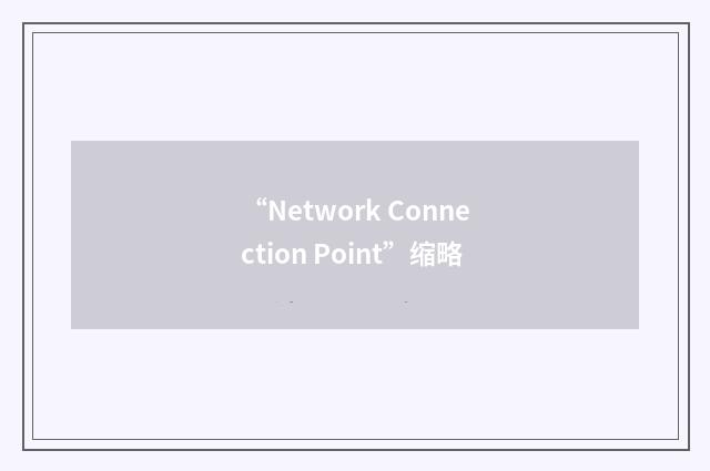 “Network Connection Point”缩略