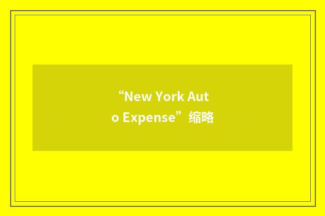 “New York Auto Expense”缩略
