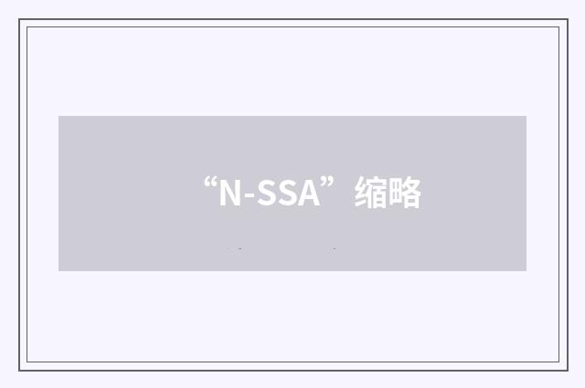 “N-SSA”缩略