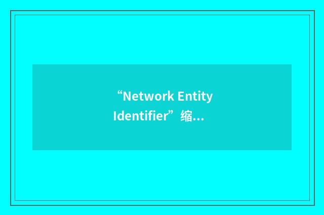 “Network Entity Identifier”缩略