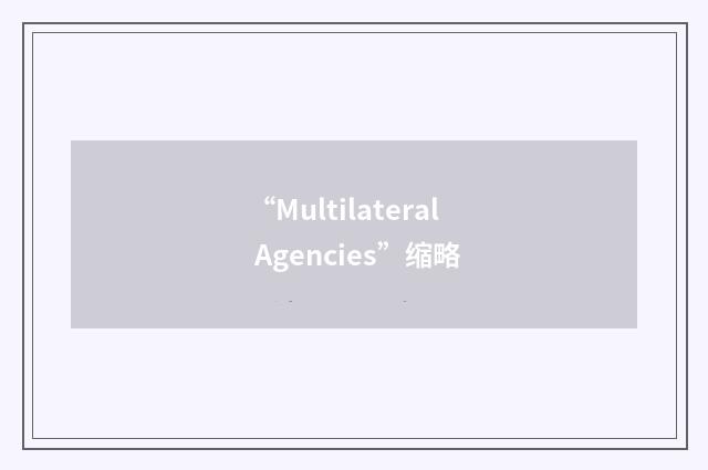 “Multilateral Agencies”缩略