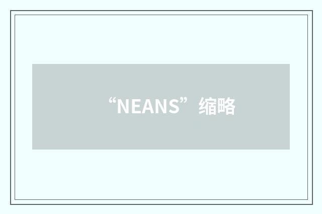 “NEANS”缩略