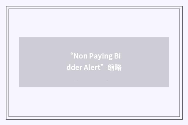 “Non Paying Bidder Alert”缩略