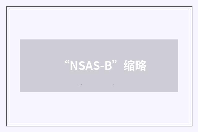 “NSAS-B”缩略