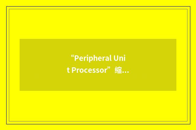 “Peripheral Unit Processor”缩略