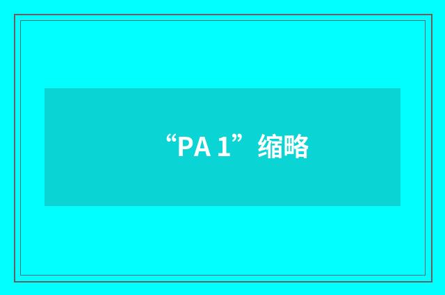 “PA 1”缩略