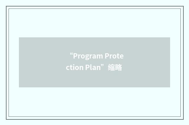 “Program Protection Plan”缩略