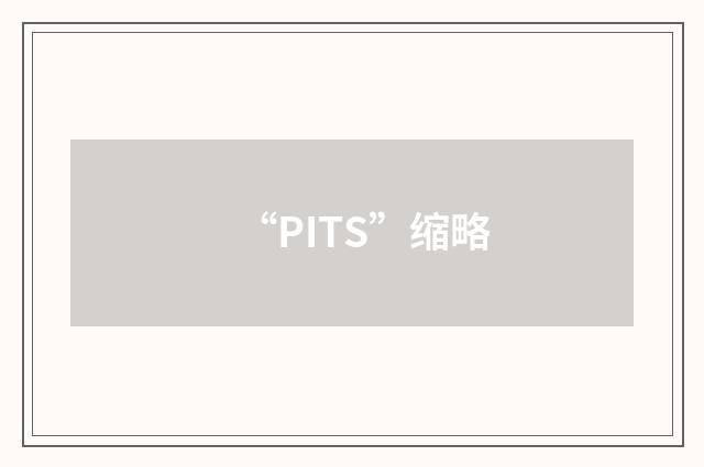 “PITS”缩略