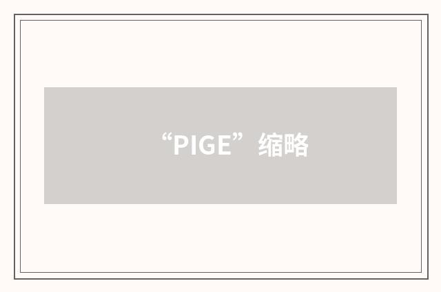 “PIGE”缩略
