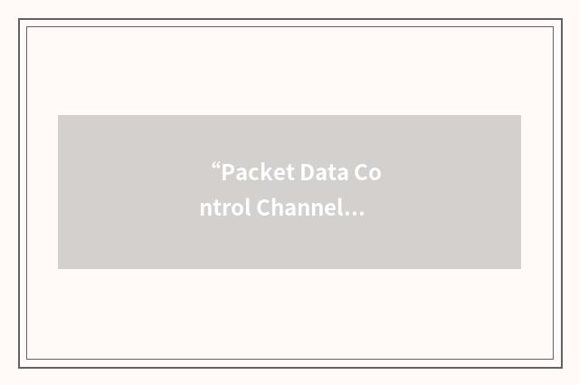 “Packet Data Control Channel”缩略
