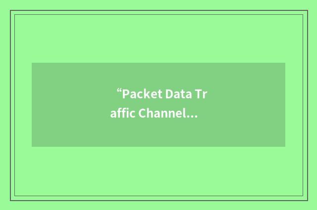 “Packet Data Traffic Channel”缩略