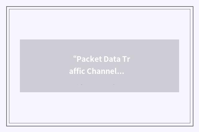 “Packet Data Traffic Channel/Downlink”缩略