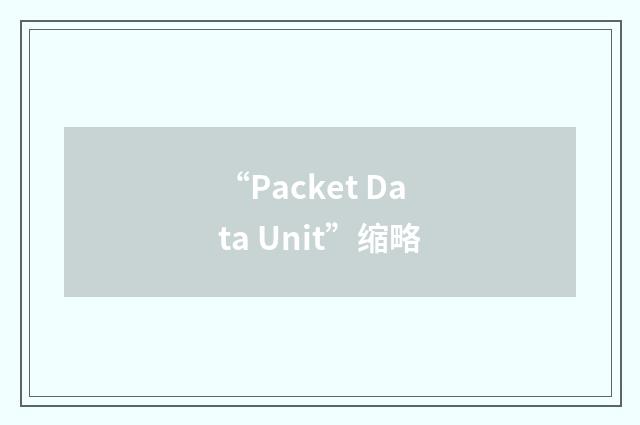 “Packet Data Unit”缩略