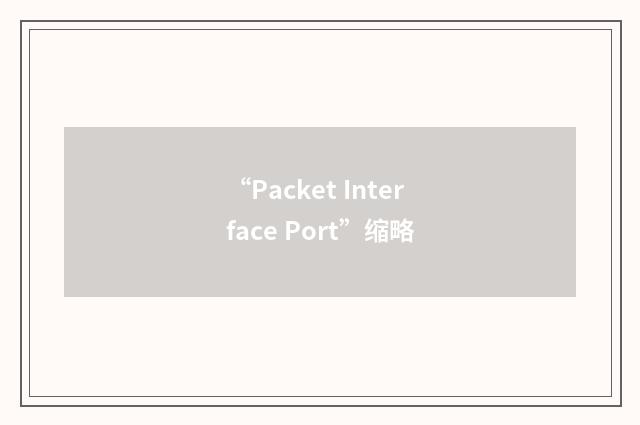 “Packet Interface Port”缩略