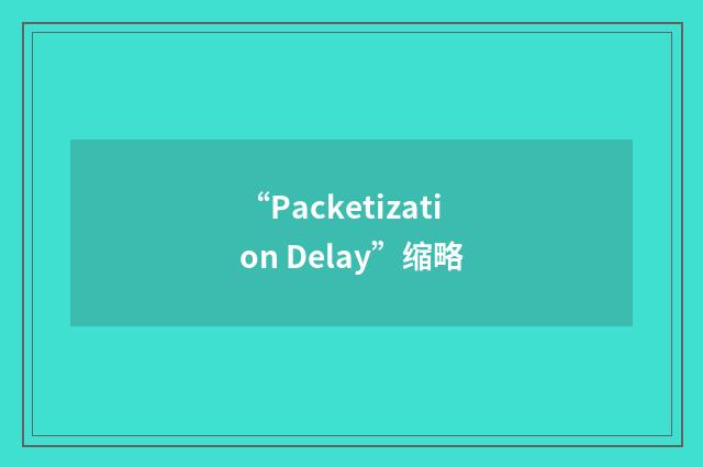 “Packetization Delay”缩略