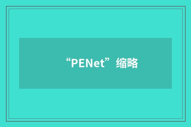 “PENet”缩略
