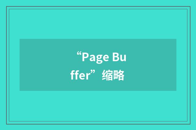 “Page Buffer”缩略
