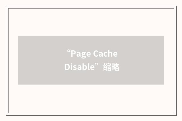 “Page Cache Disable”缩略